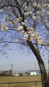 2014032913050000.jpg