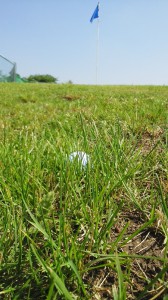 IMG_20170519_090623